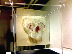 Hair Skull Niamh Cunningham