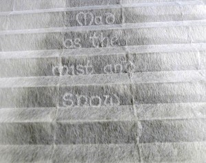 *Mad as the Mist and Snow