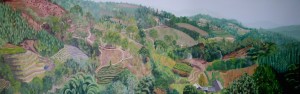 Yunnan Hillside panorama Cunningham copy