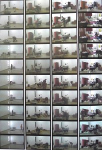 Gao Xiang Fa process of shredding and chipping