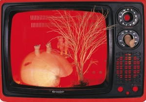 Photo 8 克隆爱情 2005 40x27x24cm-S copy