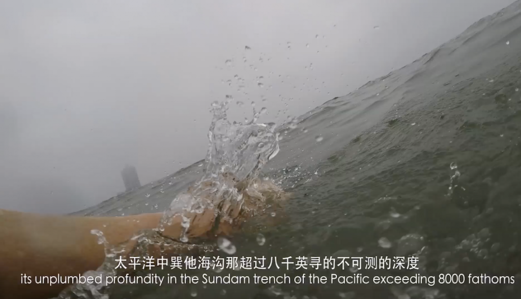 This image has an empty alt attribute; its file name is 1.-Swim-Duck-QingDao-still-Niamh-Cunningham-2019-lr-1-1-1024x588.png