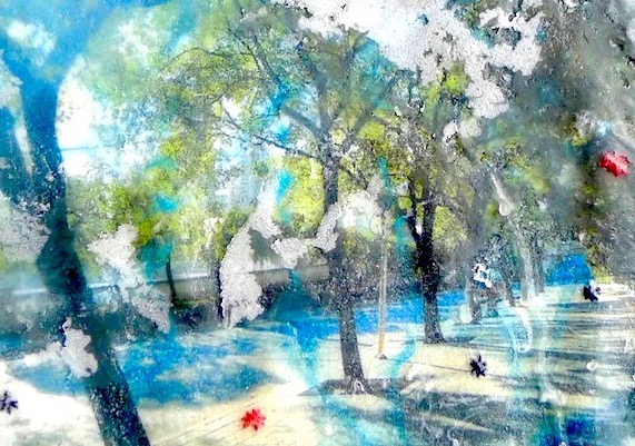 Week 4 Shaded Star sucrose series Niamh Cunningham